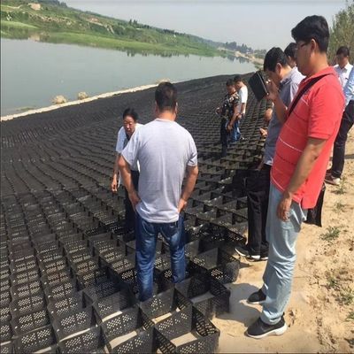 Geocell de vía de entrada HDPE Geocell y protección de pendiente para carreteras Refuerzo de 50 mm de altura inferior
