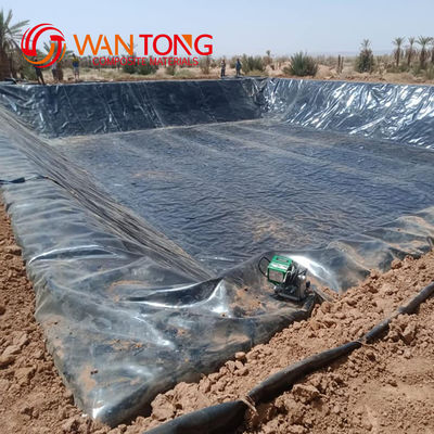 Estilo de diseño moderno 1 mm HDPE Geomembrane Liner personalizado para soluciones de revestimiento de túneles