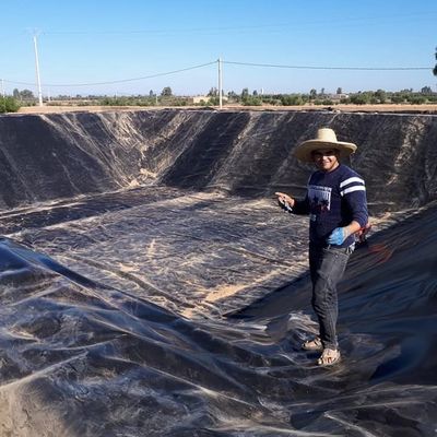 Geomembrana de plástico HDPE de 1 mm para el diseño tradicional en el revestimiento circular del estanque de peces del tanque