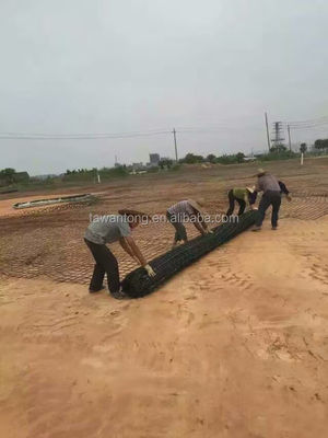 Filipinas Fibra de vidrio Geogrid Composite Geotextile Pavimento Geogrid para el cobertizo de garaje