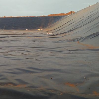 LDPE LLDPE HDPE Plástico estanques de peces impermeabilización de la membrana 0,5 mm HDPE Geomembrana hoja m2