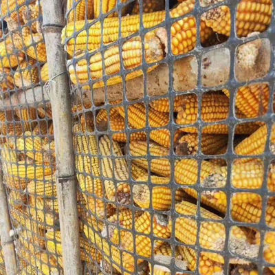 Red geográfica biaxal negra normal esencial para la cría de pollos cerca de plástico en el camino