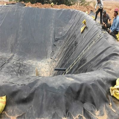 0.2 mm Geomembrana de HDPE Revestimientos de lonas impermeables para estanques de piscifactoría bioflocos