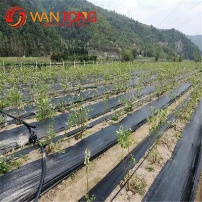 200G/M2 Antivírus anti-UV para el jardín de maleza de tejido de PP Geotextil para la cobertura del suelo y la construcción