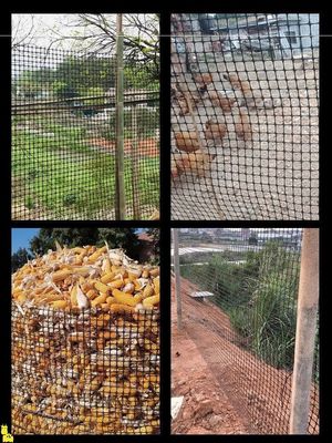 Cercas de cría de pollos y gansos certificadas CE/ISO9001 con rejilla geográfica biaxial reforzada