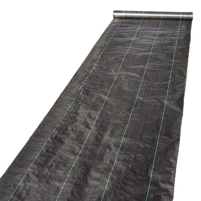 Construcción Negro Blanco Amarillo Color PP Tejido Geotextil longitud 50-100m/rollo a petición