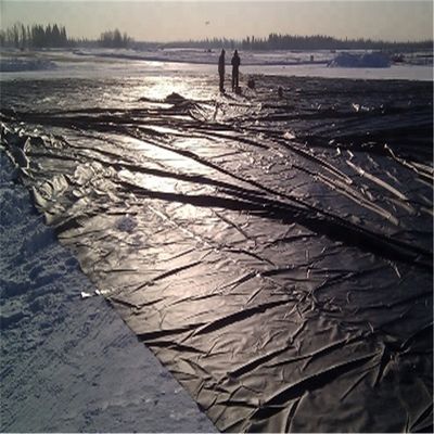 Estilo de diseño contemporáneo India Geomembrana de HDPE fabricada 1 mm para revestimiento de estanques de pescado