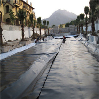 Estilo de diseño contemporáneo India Geomembrana de HDPE fabricada 1 mm para revestimiento de estanques de pescado