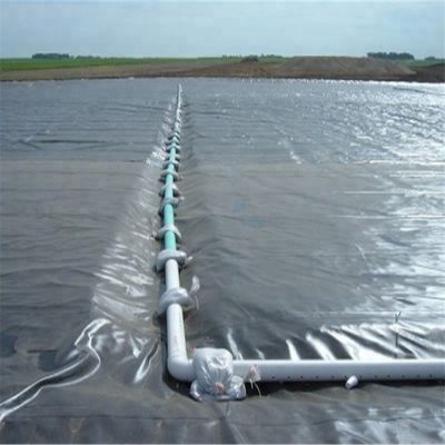 Estilo de diseño contemporáneo India Geomembrana de HDPE fabricada 1 mm para revestimiento de estanques de pescado