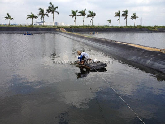Geomembranas para acuarios de peces 2 mm Negro Inmune al agua de plástico HDPE Instalación in situ