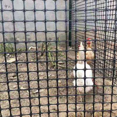 Estilos de diseño chino cerco de red geogrid biaxial para el pollo de la capacidad de carga del suelo de la carretera