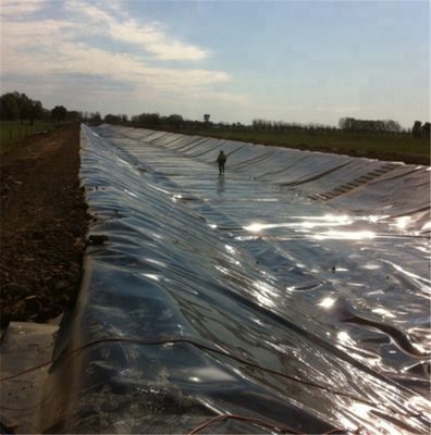 Geomembrana virgen/de HDPE reciclado para el revestimiento del tanque de estanque, el revestimiento de la presa, el revestimiento de la piscina, el revestimiento de la granja de peces