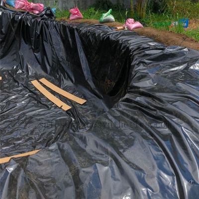 Solución de larga duración para estanques de peces con geomembrana de 1 mm/1,5 mm HDPE