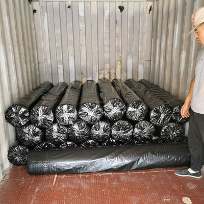 50-50kn Polyester Geogrid/ PET Geogrid para el refuerzo de las orillas de los ríos Aplicación en el lecho de la carretera