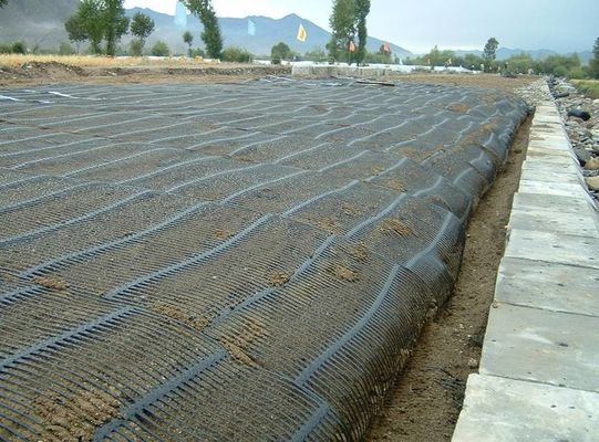 Ancho de rodillo de 1m Diseño asiático PE Rejilla de cerca uniaxial Geogrid para refuerzo de calzada