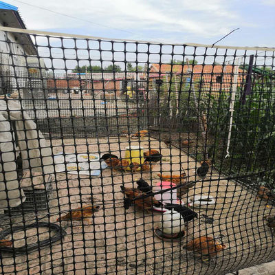 Materiales de polipropileno 15kn Rejilla de cerca de granja Geogrid para aplicaciones agrícolas