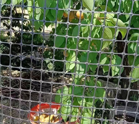 Red de plástico geogrid bidireccional negra para el recinto de pollo y pato en el almacén
