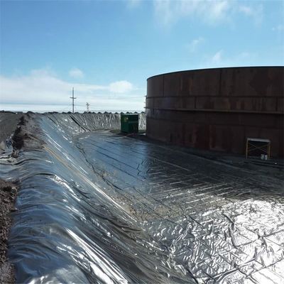 Geomembrana de HDPE para granjas de camarones de pescado y protección de represas