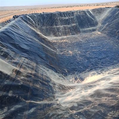 Geomembrana de HDPE para revestimientos de presa de relaves espesor 0,2-4,0 mm Estándar GB/ASTM GRI-GM13