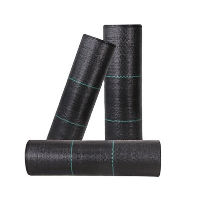 PP de alta resistencia a la tracción 70GSM-400GSM Geotextil tejido para control de malezas de jardín de arándanos