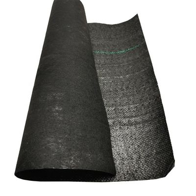 PP de alta resistencia a la tracción 70GSM-400GSM Geotextil tejido para control de malezas de jardín de arándanos