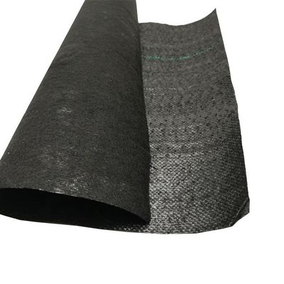PP de alta resistencia a la tracción 70GSM-400GSM Geotextil tejido para control de malezas de jardín de arándanos