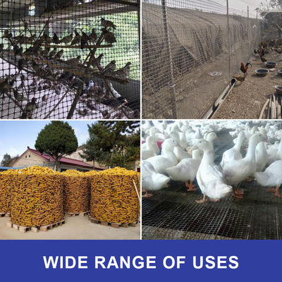 CE/ISO9001 Certificado PP Biaxal Geogrid para Minería e Ingeniería Civil