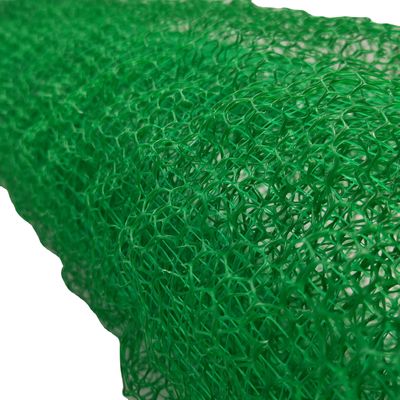Diseño contemporáneo Control de erosión de ancho de 2 m Geonet/Geomat con cubierta vegetal 3D
