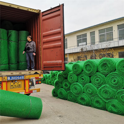 CE/ISO9001/ISO14001 Certificado de plástico 3D para redes de vegetación, pavimentadores de césped, geonet para protección de pendientes