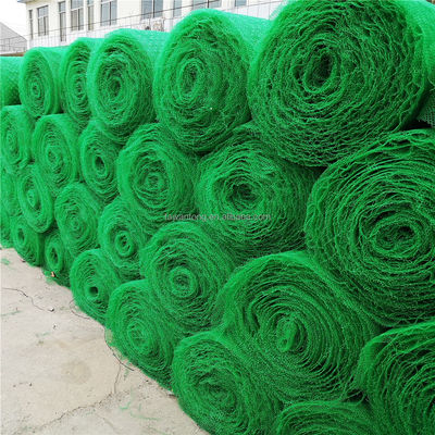 CE/ISO9001/ISO14001 Certificado de plástico 3D para redes de vegetación, pavimentadores de césped, geonet para protección de pendientes
