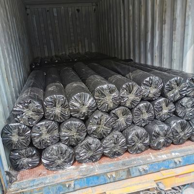 Geogrid de fibra de vidrio para el estilo de diseño chino Refuerzo de asfalto Instalación in situ