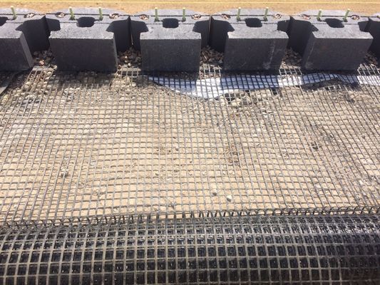 Geogrid de fibra de vidrio para el estilo de diseño chino Refuerzo de asfalto Instalación in situ