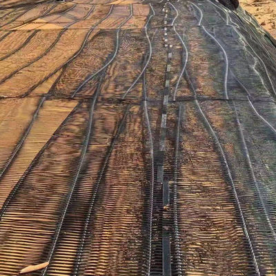 50m de longitud PP HDPE Geogrid uniaxial para el estilo de diseño minimalista en material duradero