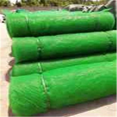 Control de la erosión de PP HDPE 3D cubierta vegetal geomática pavimento de césped para protección de pendientes