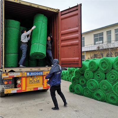 Diseño chino 3D HDPE Geomat Control de erosión de la alfombra para la protección de pendiente Em2 Em3 Em4 Em5