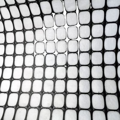 Geogrid biaxal PP compuesto certificado CE/ISO9001 para filtración en la construcción de carreteras