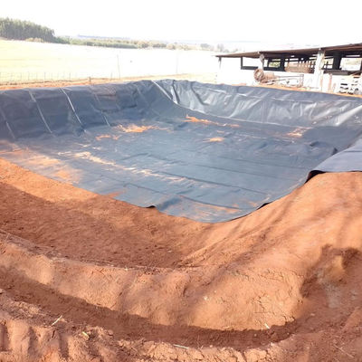 Shandong Geomembrana de HDPE 0,5 mm para estanque de limpieza piscifactorías depósito de residuos de estanque de libra
