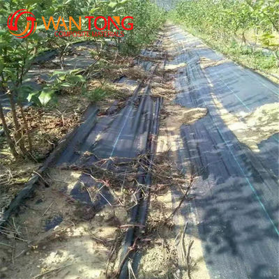 40gm-230gm Agricultura Tejido de cubierta de suelo de PP para el control de malezas en el huerto de fresas