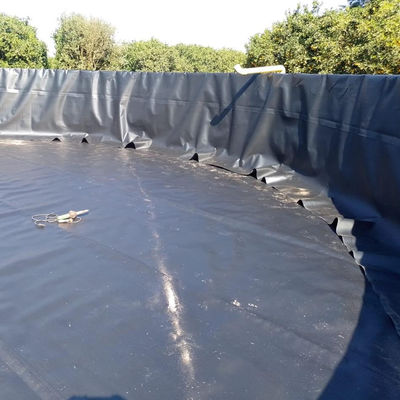 100% de HDPE virgen LLDPE de estanque de pescado Geomembrana a prueba de agua Rolos de HDPE para la cría de camarón