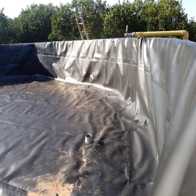 60 mil de HDPE de revestimiento impermeable de la membrana 40 mil de la piscina de pescado de revestimiento 0,5 mm 20 mil de la geomembrana