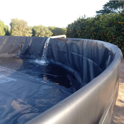 Geomembrana de HDPE contemporánea 0,5 mm 0,75 mm para distribuidor de líneas de estanque de pescado