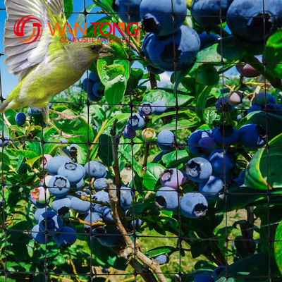 Redes de jardín de hortalizas de PP o HDPE Redes de protección contra aves con certificado CE ISO
