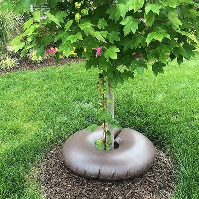 Wantong PVC Eco amigable liberación lenta Riego por goteo Bolsa de riego de árboles competitivo