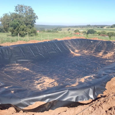 Tanque de cría de camarones Geomembrana de HDPE de 2 a 8 m de ancho y 100% material virgen