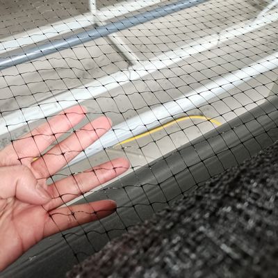 12 gramos de malla de redes de plástico de PP para redes antipájaros para pollos en huertos y viñedos