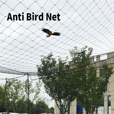 CE ISO Certificado BOP Extensión de la red de PP de larga duración duradera de la red de plástico anti-pájaros para la seguridad del jardín
