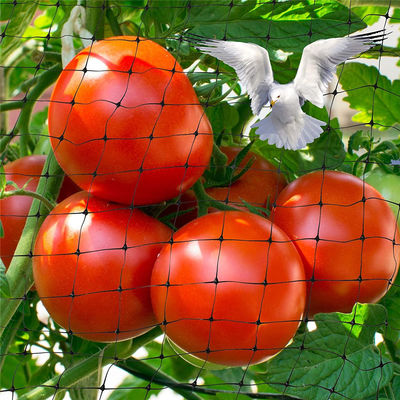 Proteja su jardín con redes de plástico de corte Agricultura Redes antipájaros UV 25g/m2