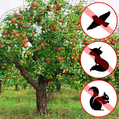 Proteja su jardín con redes de plástico de corte Agricultura Redes antipájaros UV 25g/m2