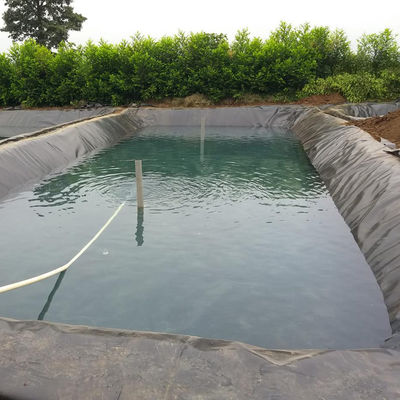 GB/ASTM GRI-GM13 Estándar de revestimiento de geomembrana HDPE para material de impermeabilización de piscifactoría