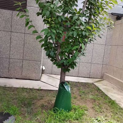 Envases verdes de 2 envases de 15 galones de liberación lenta de agua por goteo para regar árboles Bolsa de regaduras CE/ISO aprobada